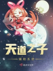 天道之子辅助系统章节列表