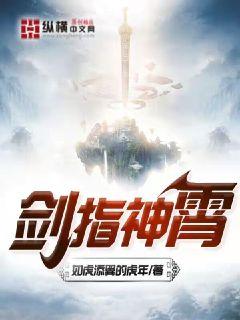 剑指神霄章节列表