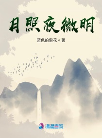 月照夜微明章节列表