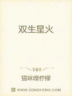 双生星火章节列表