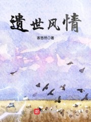 遗世风情章节列表