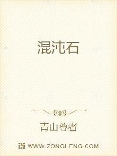 混沌石章节列表