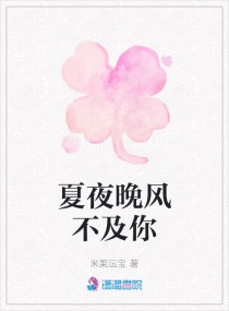 夏夜晚风不及你章节列表