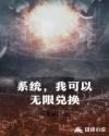系统，我可以无限兑换章节列表