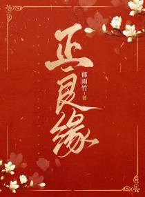 正良缘章节列表