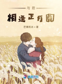 与君相逢正月圆章节列表