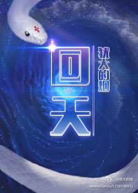 回天章节列表