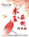 朱玉在侧章节列表