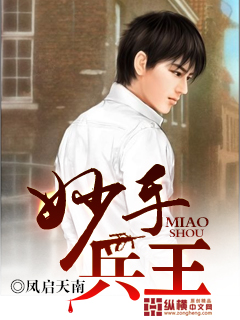 妙手兵王章节列表