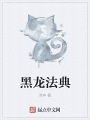 黑龙法典章节列表