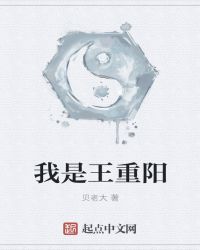 我是王重阳章节列表