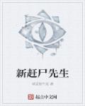 新赶尸先生章节列表