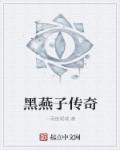 黑燕子传奇章节列表