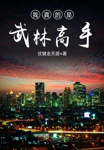 从武林高手到娱乐巨星章节列表