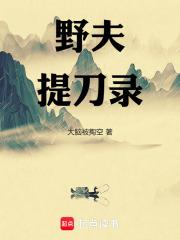 野夫提刀录章节列表