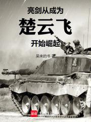亮剑：从成为楚云飞开始崛起章节列表