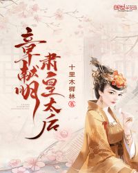 章献明肃皇太后章节列表