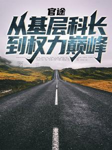 官途：从基层科长到权力巅峰章节列表