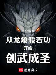 从龙象般若功开始创武成圣章节列表