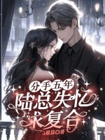 分手五年，陆总失忆求复合章节列表