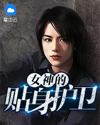 女神的贴身护卫章节列表