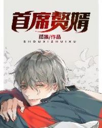 首席赘婿章节列表