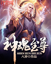 神魂至尊章节列表