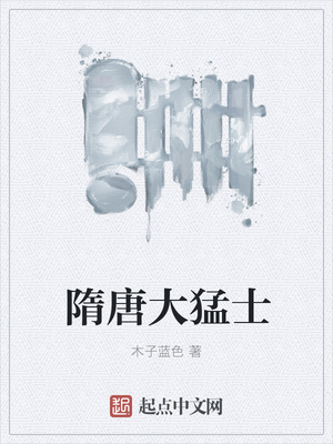 隋唐大猛士章节列表