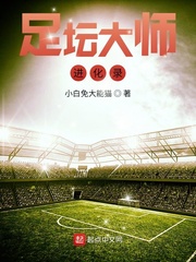 足坛大师进化录章节列表