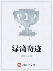 绿湾奇迹章节列表