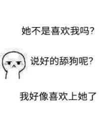 下套章节列表