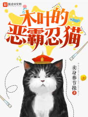木叶的恶霸忍猫章节列表