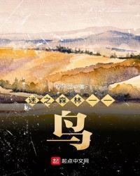 迷之森林——鸟章节列表