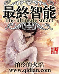 最终智能章节列表